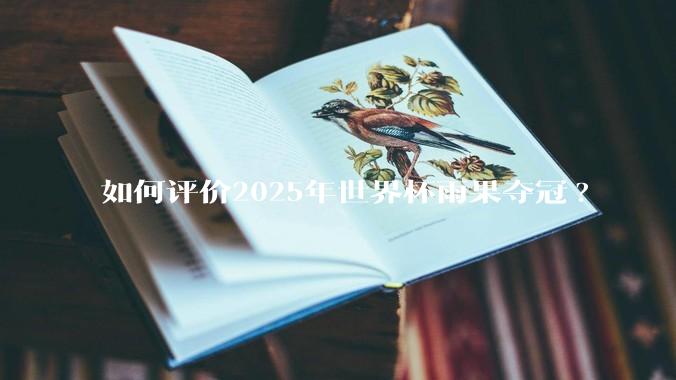 如何评价2025年世界杯雨果夺冠?