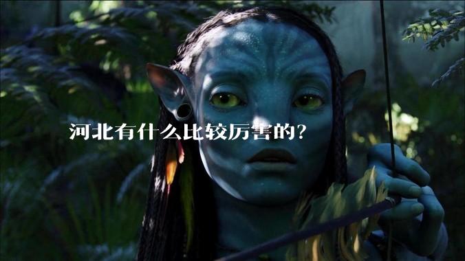 河北有什么比较厉害的？