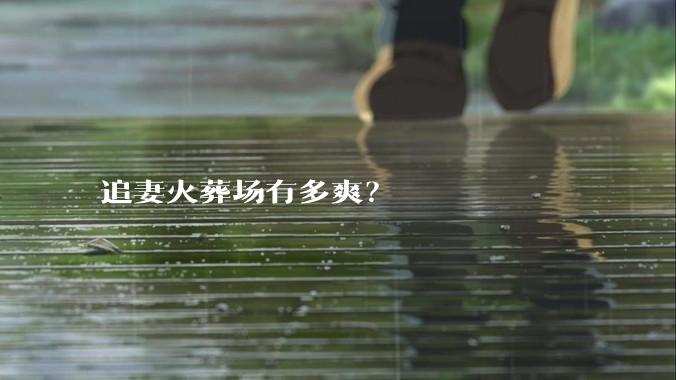 追妻火葬场有多爽？