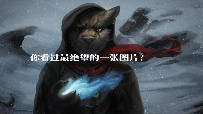 你看过最绝望的一张图片？