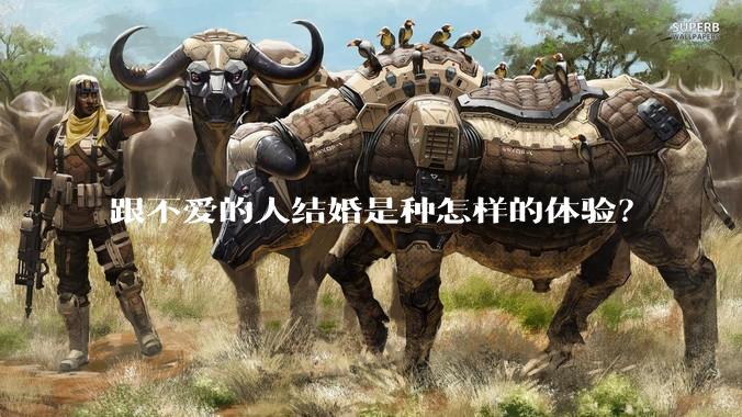 跟不爱的人结婚是种怎样的体验？