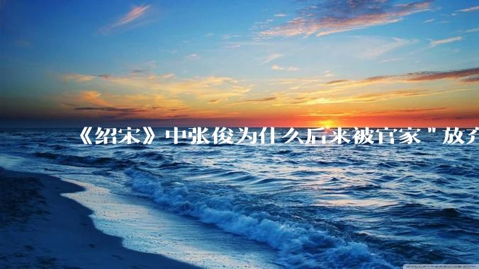 《绍宋》中张俊为什么后来被官家"放弃"了？