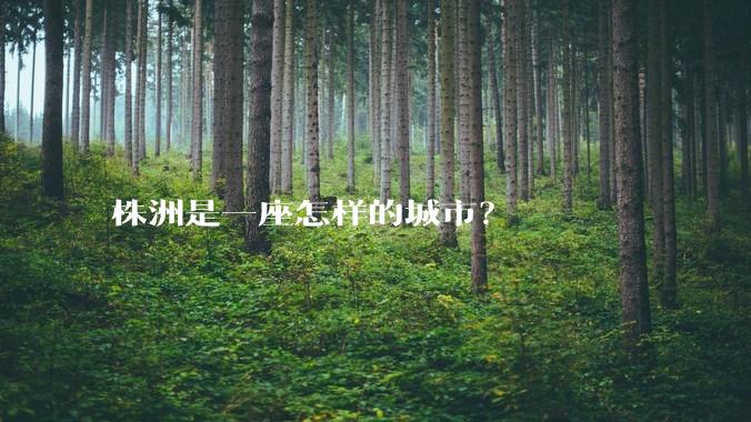 株洲是一座怎样的城市？
