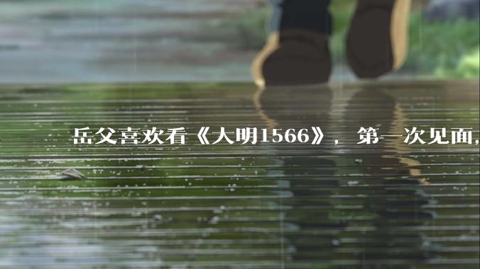 岳父喜欢看《大明1566》，第一次见面，应该送些什么礼物?