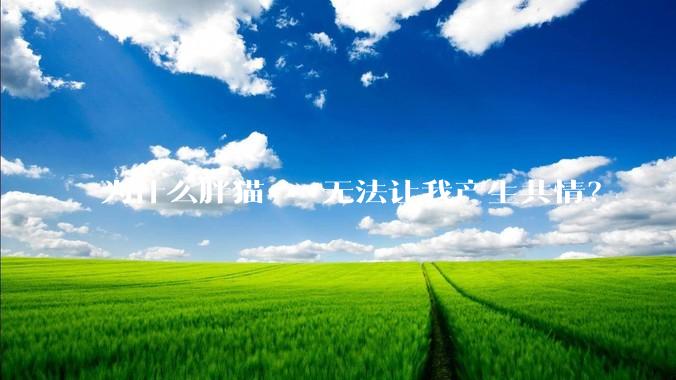 为什么胖猫***无法让我产生共情？