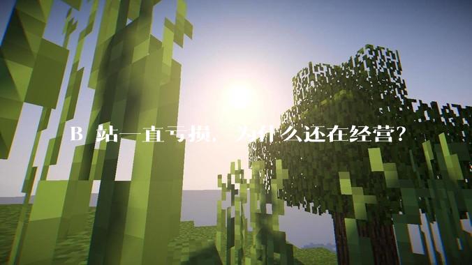 B 站一直亏损，为什么还在经营？