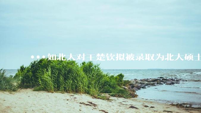 ***如北大对王楚钦拟被录取为北大硕士的社会争议不了了之会怎么样？