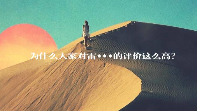 为什么大家对雷***的评价这么高？