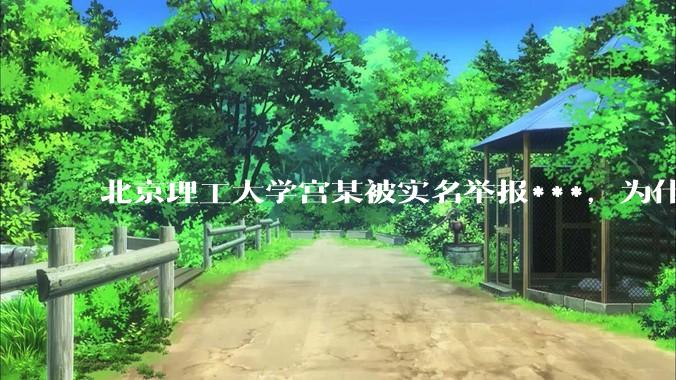 北京理工大学宫某被实名举报***，为什么感觉这么多人似乎站导师这边？