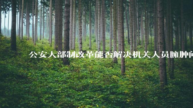 公安大部制改革能否解决机关人员臃肿问题？