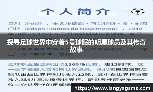 芒果体育登录注册